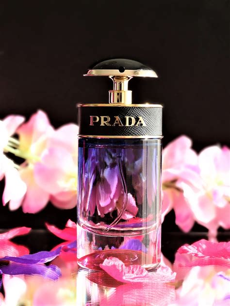 prada perfume smells like baby powder|Prada candy night fragrance.